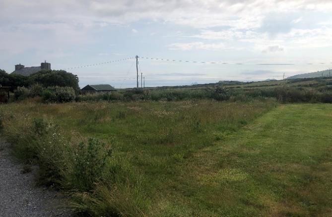 Short flowering meadow